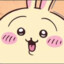 うさぎ
