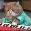 Keyboard Cat