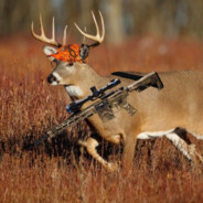 弯道快才是真的快