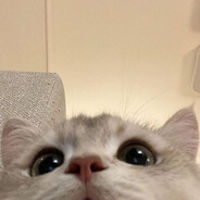 sen
