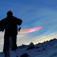 体弱多病牛牛超硬