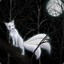 WhiTeFox