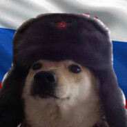 Russian Dogs