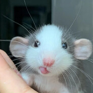 唠啥了直接掏吧