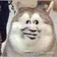 我知道你很急但你先别