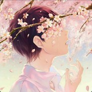 半城樱花半城雨