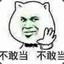 战地记者全程OB后