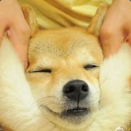 大仙还是仙的呀