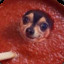 sauceboye