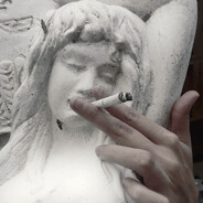 привет член