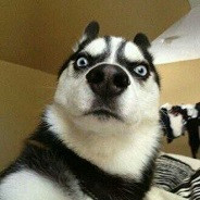 枪马因为最近手枪打少了