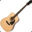 Acoustic Guitar