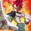 VEGETA