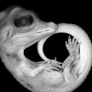 Kangarilla - steam id 76561197971715317