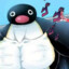 Pingu