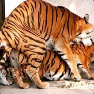 Nyyyyyyyyyyyyyyyyyyyyyyyyyyyyyyy