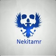 Nekitamr♿