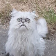 Edi1337 - steam id 76561198128168191