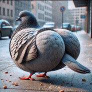 G00N_PIGEON