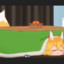 Foxtrot