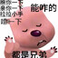野猿广智