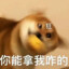 迪士尼在逃公朱先生
