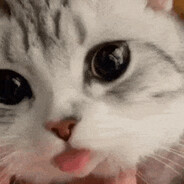 мешок с какашками