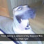 furryy