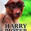 Pjoter