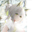 Starlightsilver