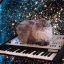 Cat On A Keyboard