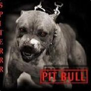 Spiterrr - steam id 76561197966236141