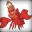 Sebastian the Crab