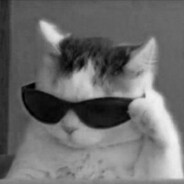 𝒱𝒾𝓀𝓉𝑜𝓇