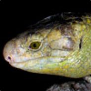 Dendro - steam id 76561197965490446