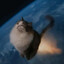 Rocket Cat