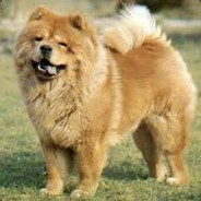 Siwek 2115 CSGOFAST.COM