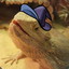 Lizard Wizard