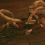 calamitous clunge