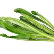 หอมเป[HormPhea]