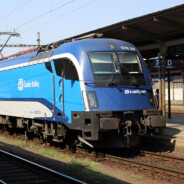 PeterTheDustyBinLover