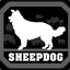 SheepDog01