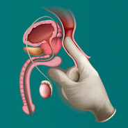 Предсидательная