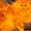 A Cat on Fire