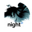 nightᴳᵀ