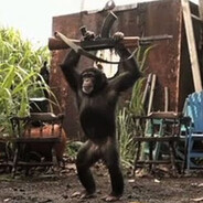 Monkeyd2