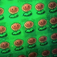 你失约的花海我自己去看了