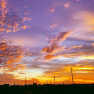 小针一扎，直接白拉