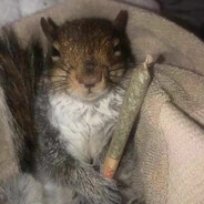 An Incredibly Stoned Squirrel