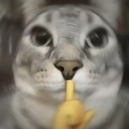 翻斗花园康康爹